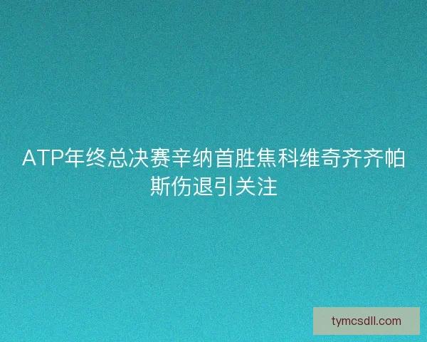 ATP年终总决赛辛纳首胜焦科维奇齐齐帕斯伤退引关注